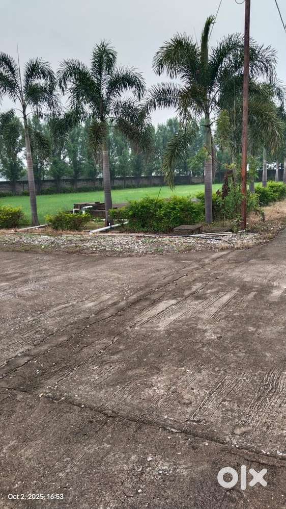 Old Dhamtari road dunda T.N.C project kam se kam bajat per  basahat