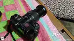 Z6II orjent sell