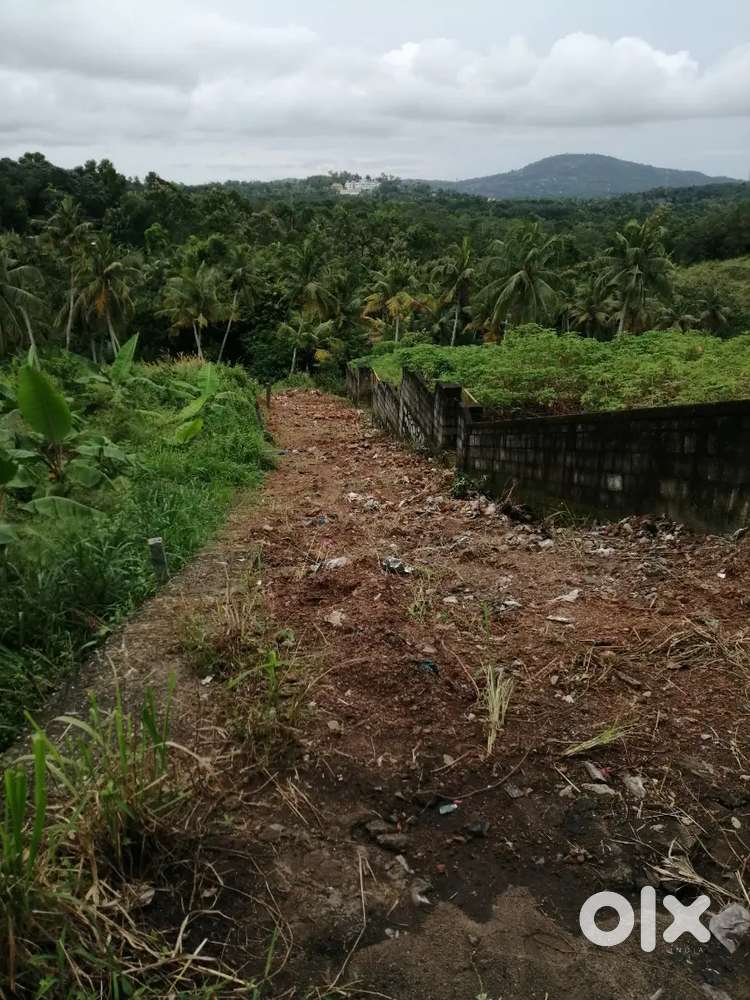 Main road frontage 01 acre commercial plot for sale