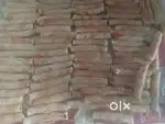 Wholesale momo (Diwali offers)