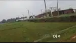 Real estate developer