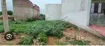 transport nagar 20*40 plot sale