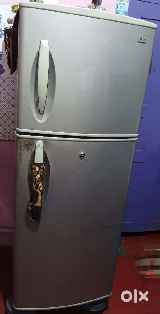 Lg double door