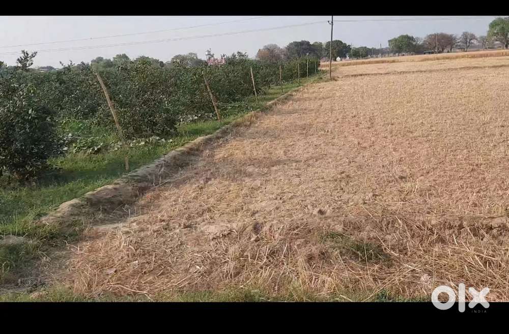 Uegent (चायल,मुरादपुर डामर रोड पर)1 बीघा 3 बिस्वा ज़मीन है