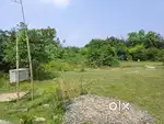 Vandavasi plot for sale