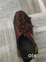 Skating shoes