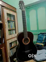 Classical Vietnami Guitar