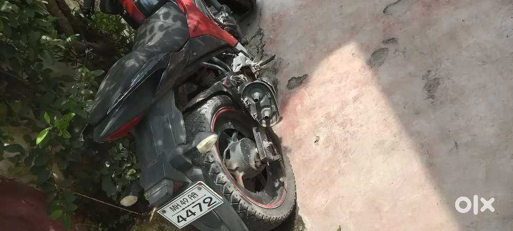 Arjent hai