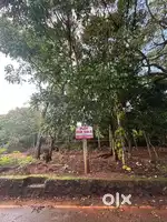 8.5 cent Square plot for sale in Kamplar …1.5 kms from Tholayavattam
