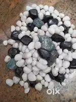 Stones aquarium