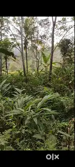 2 acre land with house for sale idukki