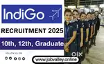&gt; V &lt; Apply fresher 10th , 12th , diploma pass %