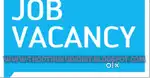 FRESHER JB VACANCY 2025