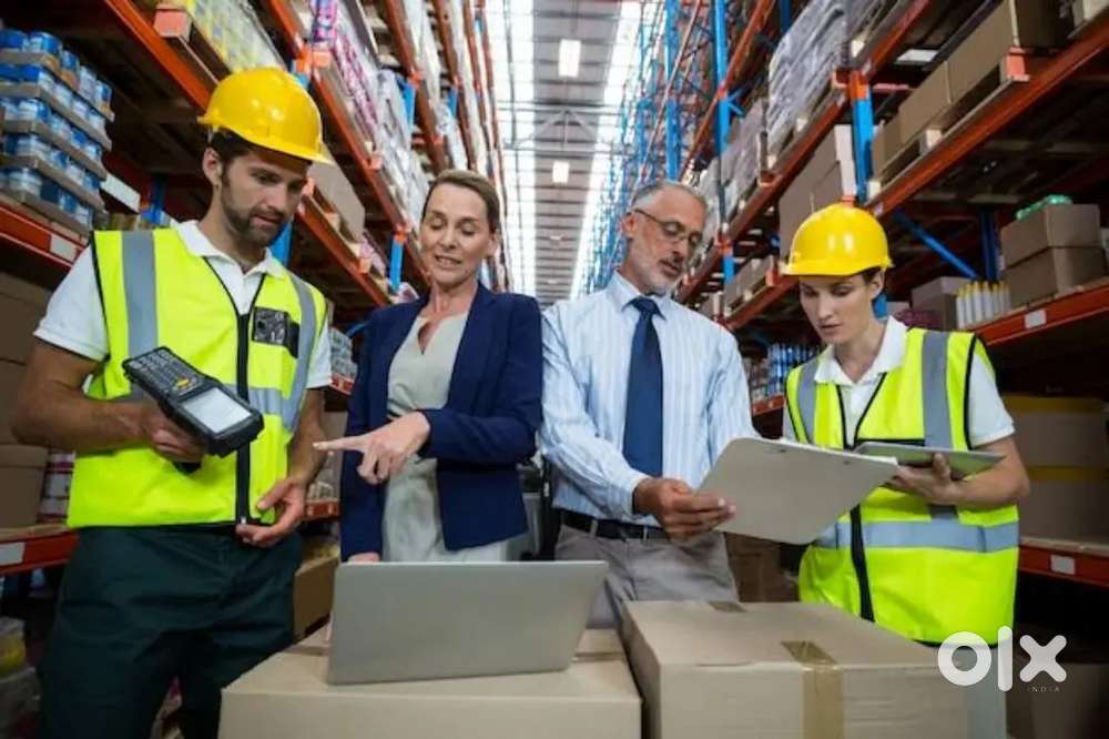 MEDICAL WAREHOUSE PACKING/HELPER/JOB IN WAREHOUSE IN LUCKNOW