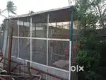 Birts cage 84*84 with 48 size good condition