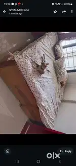 Double bed with storage for sale