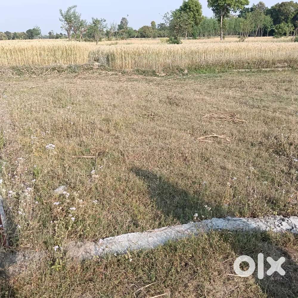 Plot For sale in Baluwala near Shiv mandir vikasnagar Distt Dehradun