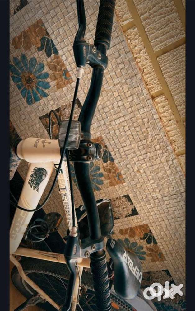 Frog mountain bike *special edition*