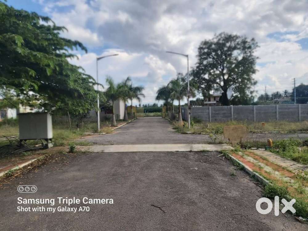 Tuda plot for sale@16Lacs in airport near  in Renigunta