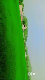 Sell on plot