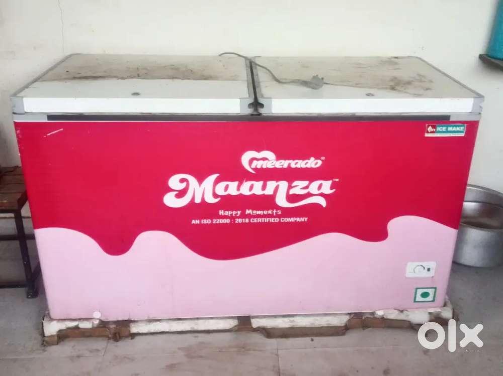 Double door freezer in excellent condition
