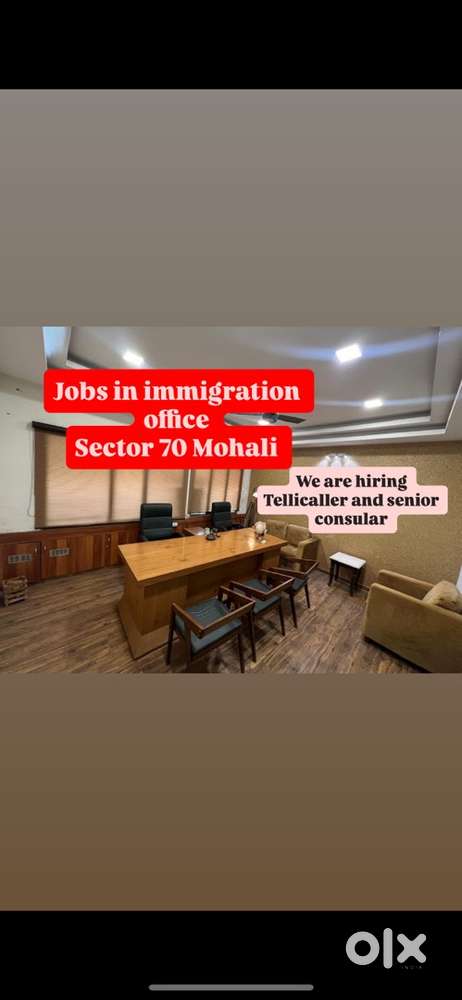 Jobs in immigration office