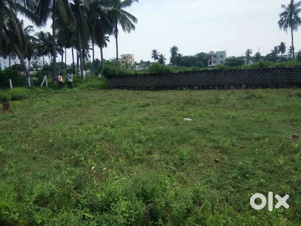 Visakhapatnam Sangavallasa highway sassi college back side..