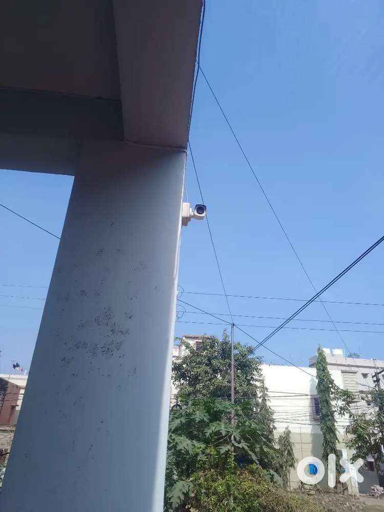 Looking for fresher or experience candidate