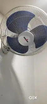 Wall mount fan