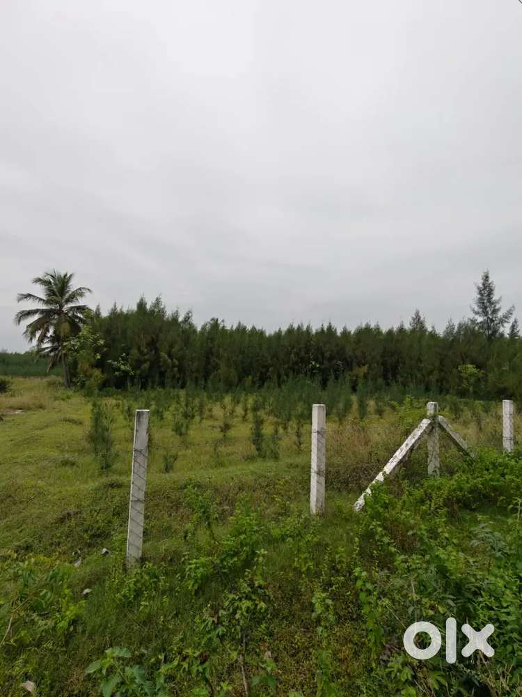 Ponmar plot sales