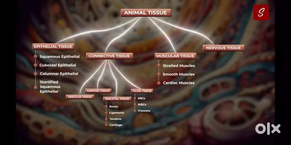 Kisi ko home tutor chahiye to please contact me