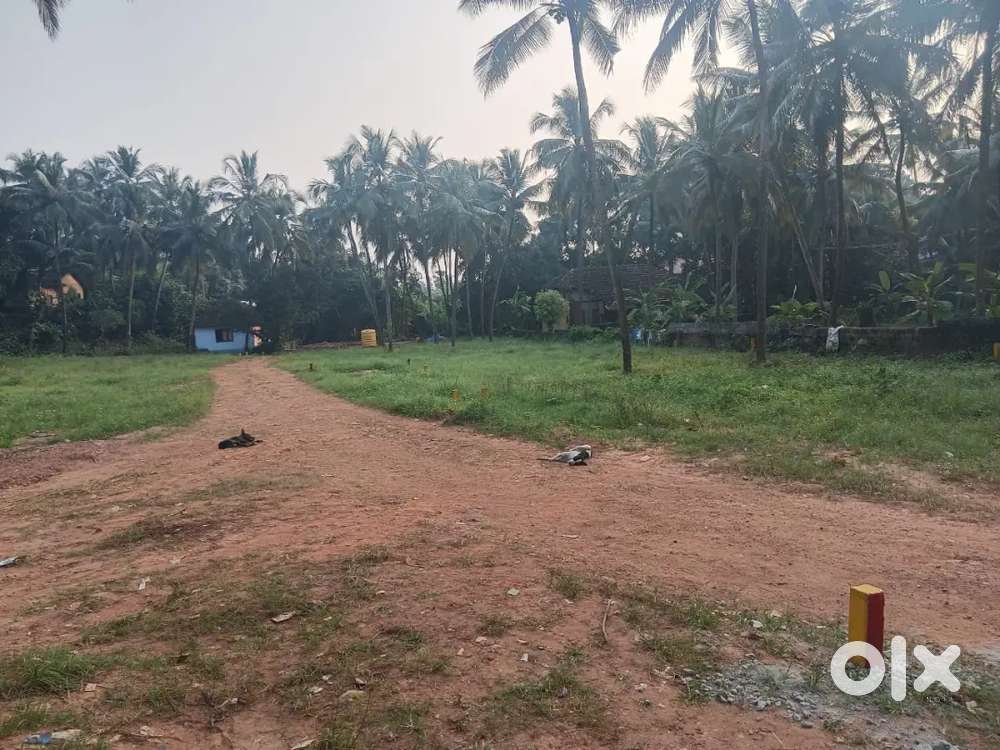 Panjimogaru 4 Cents  East Land facing  For Ssle Rs. 36 Lakhs