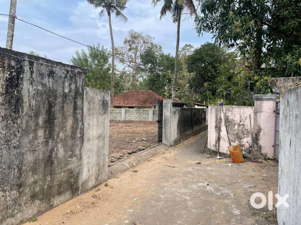 10 Cents Residential Plot for Sale – Near Kalariyil Temple, Mundakkal