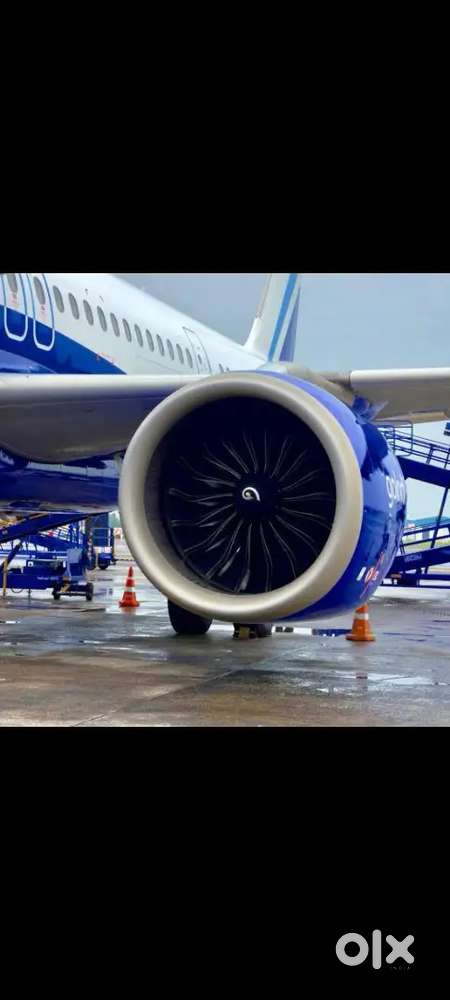 Best' opportunities in the airline