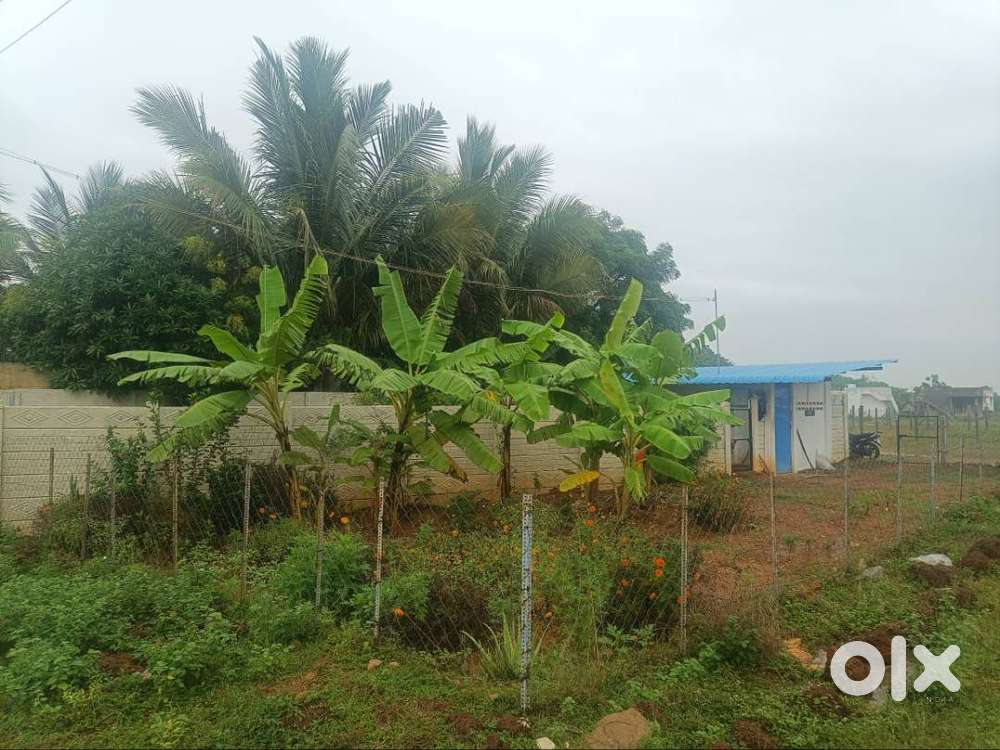 Farmhouse with water and electricity connection