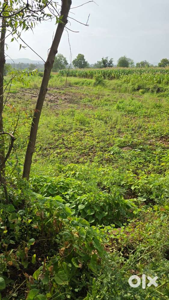07 gunta land for sell in pangri rajgurunagar