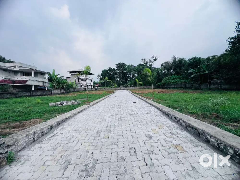 3 AND MORE CENT ORGINAL LAND IN KAKKANAD  NEAR THUTHIYOOR