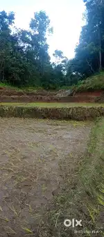 Jaka bn die ha ka dor 15 tyngka ter2