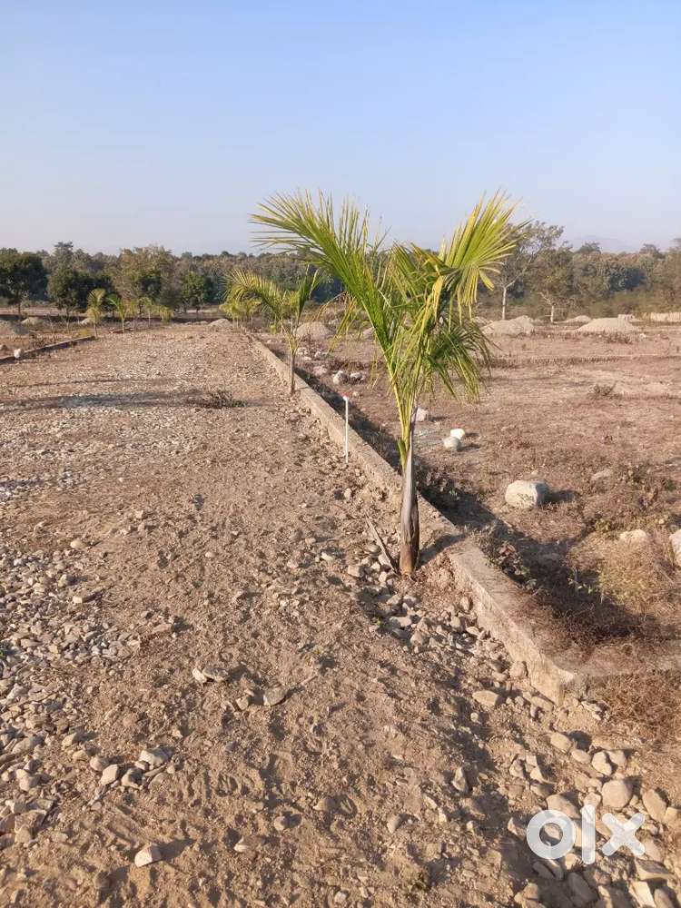 Gated Society In Lush Green Surroundings