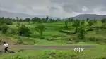 One Acre Agricultural Land for Sale in Bhor