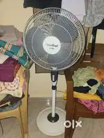 Pedestal Fan