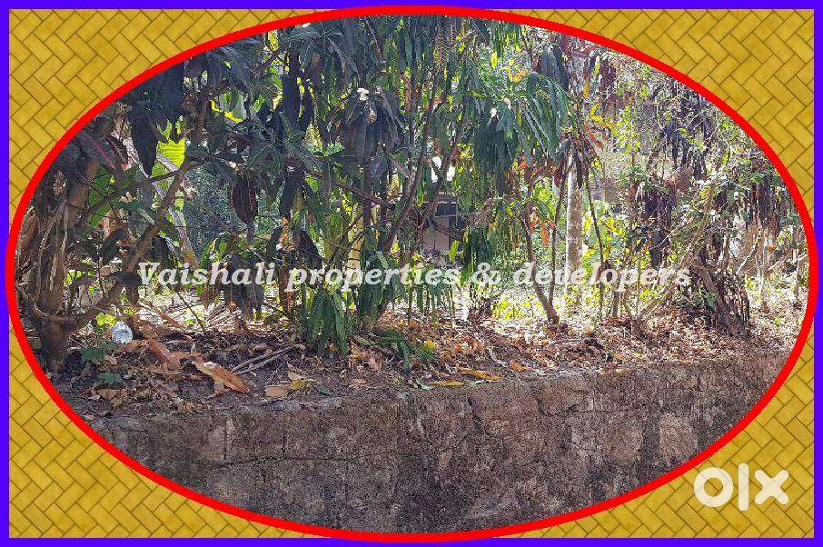 6 cents House plot in Prime Location in near Palakkada, Puthiyangadi