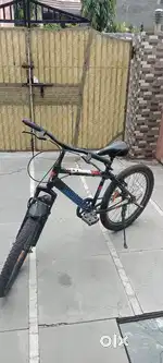 Beautiful cycle