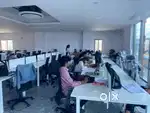 Business Development Excutive