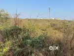 300 sqmt plot for sale with sanad, 80%far, at bogmolo