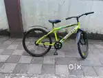 Normal pedal system