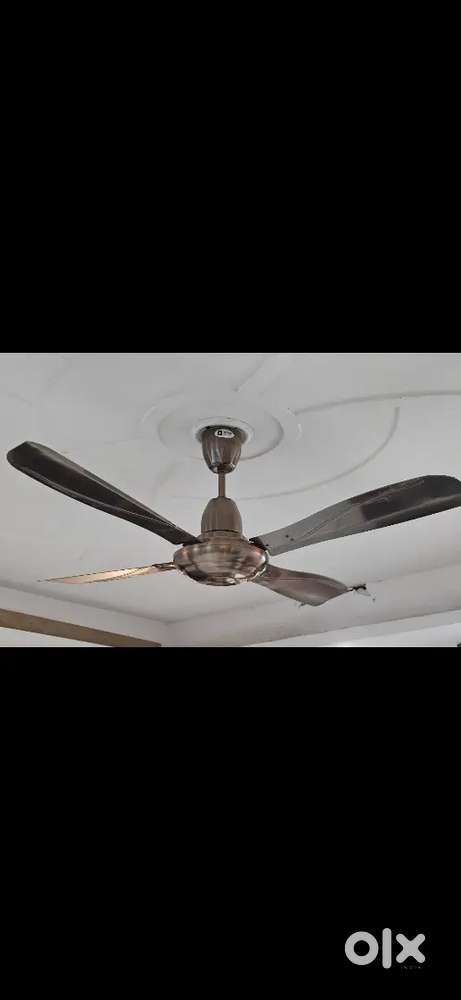 Orient Stallion 4 blade fan
