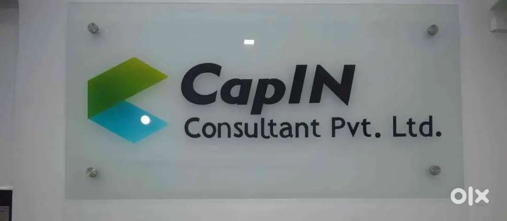 Capin counsultant