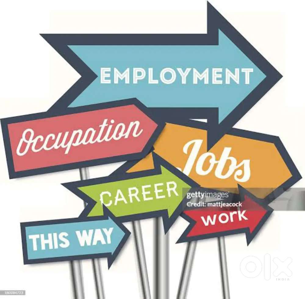 “Immediate Hiring: Fresher & Experienced – Apply Now!”