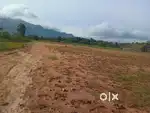 Fascinating view of house plots are available at Kanjikode